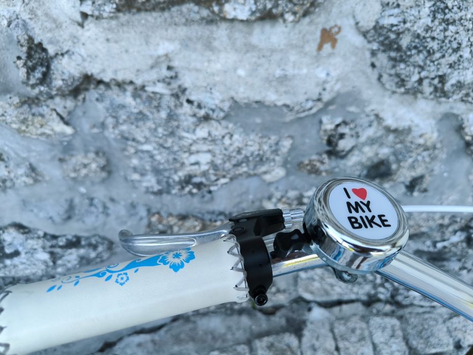 Bicicleta pasteleira Berg