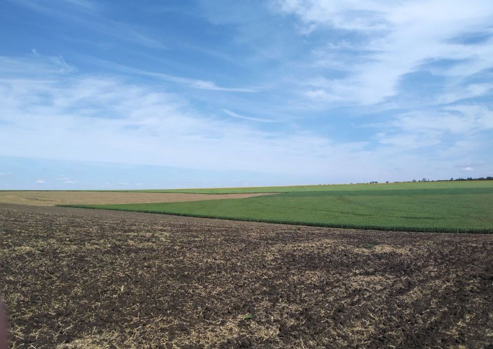 Продажа земли с/хоз назначения