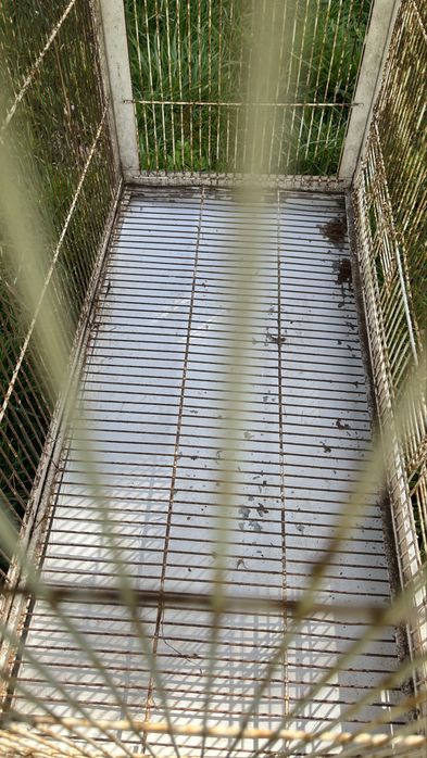 Gaiola criadeira dupla para aves