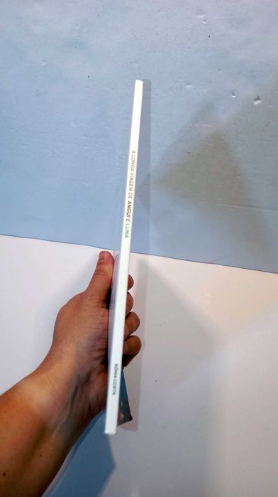 A Longa Viagem de Angui e Luna