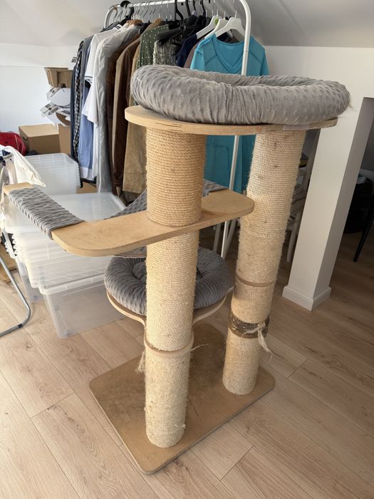 Drapak amaryllis L natural paradise