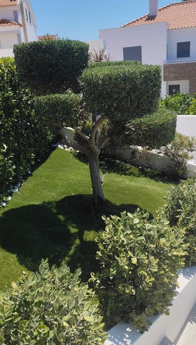 Limpeza e Manutenção de Jardins