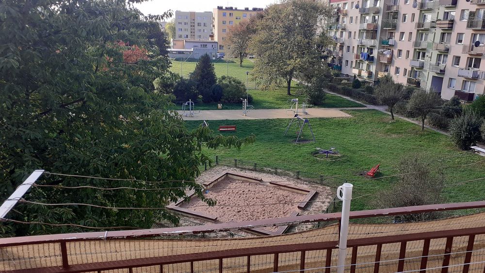 Mieszkanie (kawalerka) do wynajęcia.