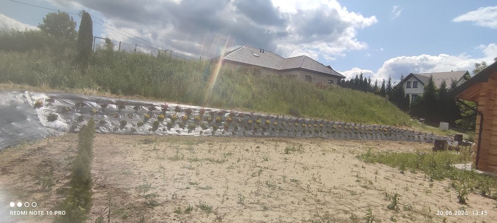 Usługi ogrodnicze i brukarskie