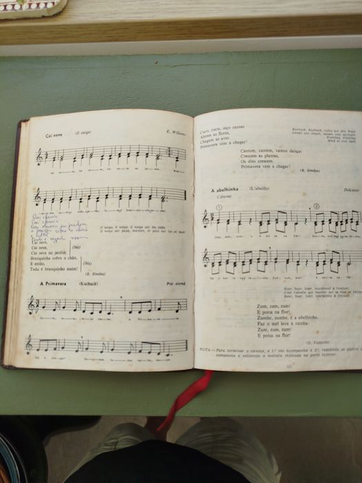 Canções para a Educação Musical Raquel  Simões