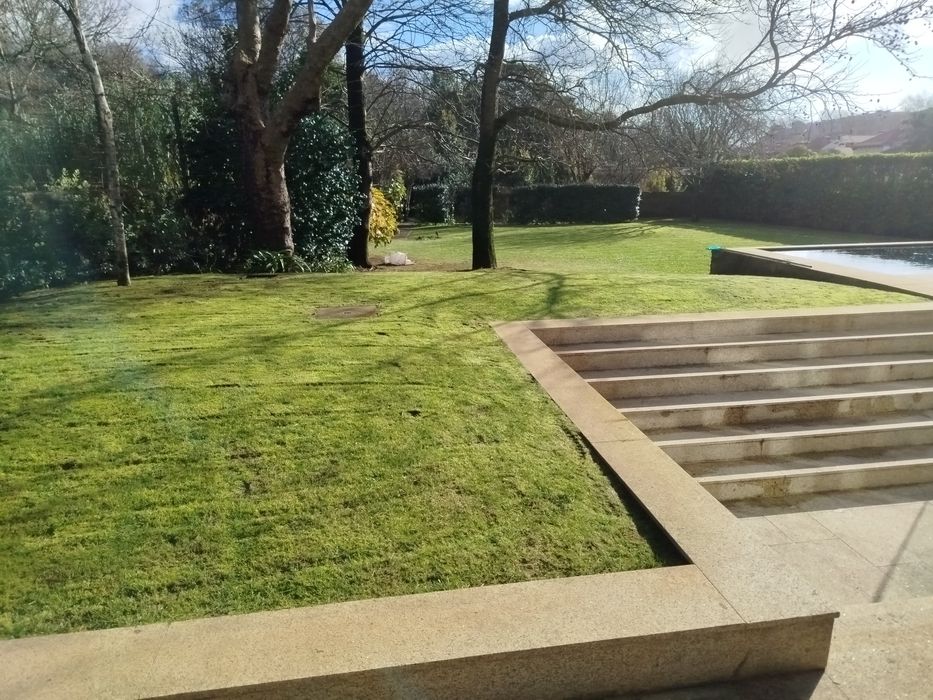 Manutenção e construção de jardins