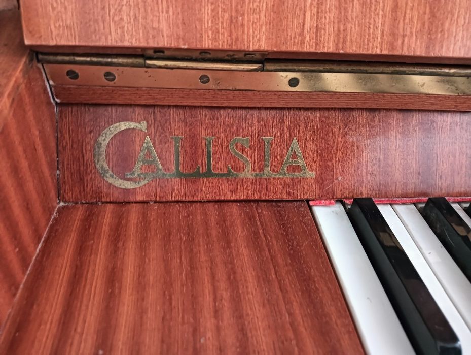 Sprzedam Pianino Calisia