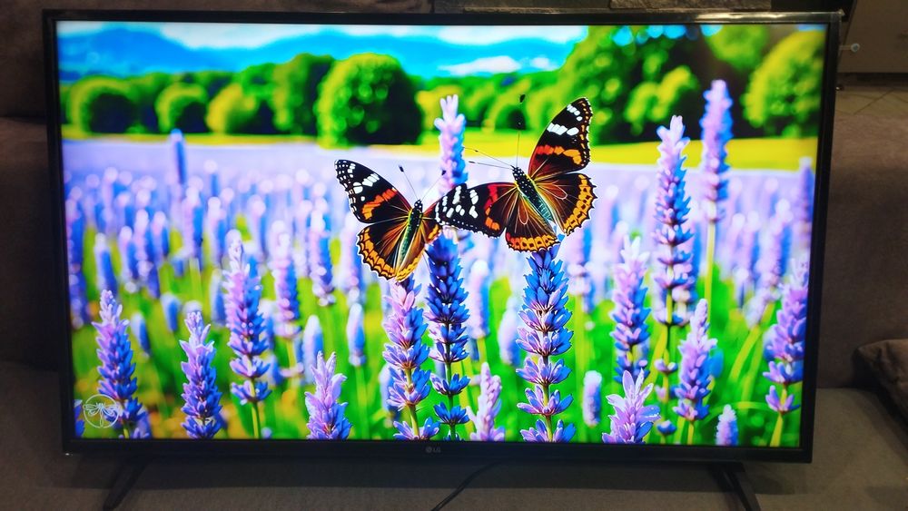 Телевізор LG 43 uhd