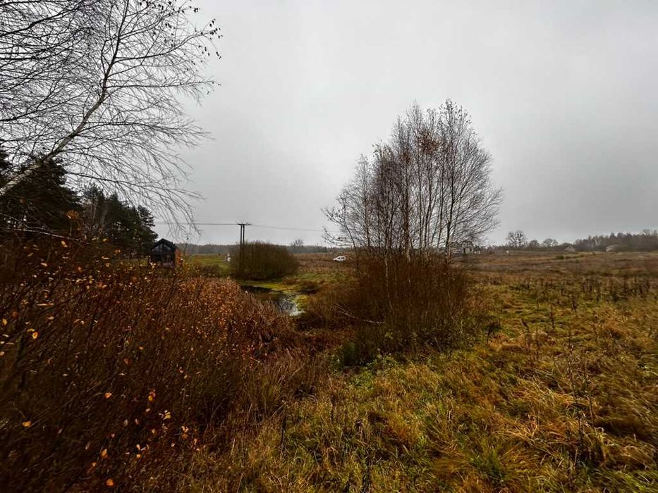 Działka 3000 m² z linią brzegową stawu, przy lesie | Szczodrowo