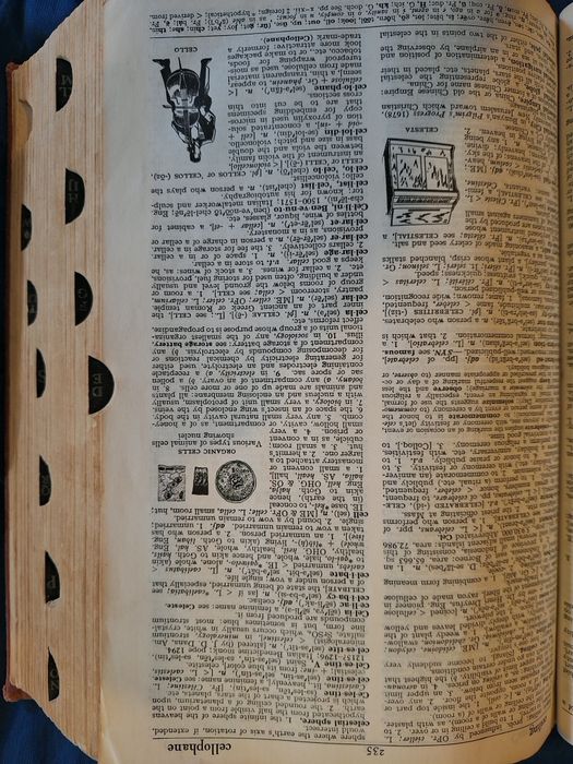 Livro dicionário inglês de 1960 "The World Publishing Company"