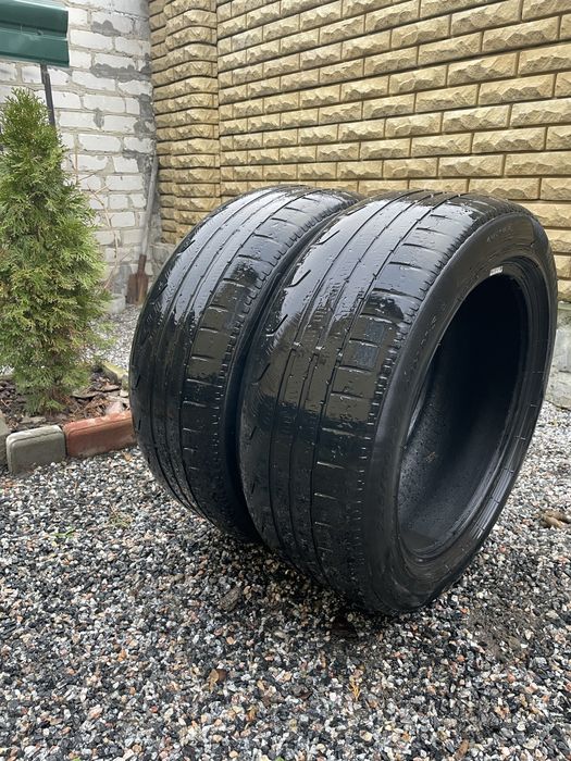 Шини літні 225/50r17 Pirelli Sottozero