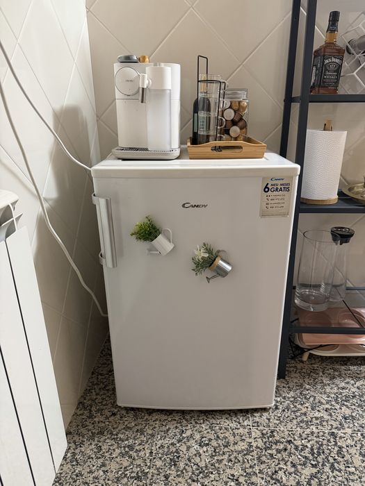 Arca Vertical CANDY Cctus 542 Wh