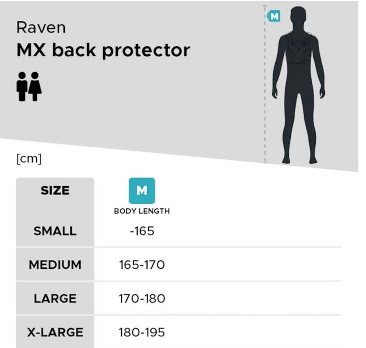 Ochraniacz pleców RAVEN Phalanx rozmiar M