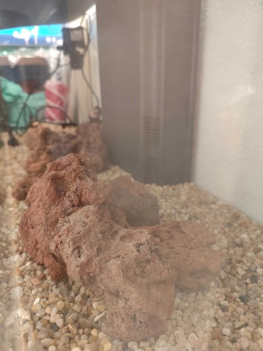 Aquário 90 litros com armário incluido