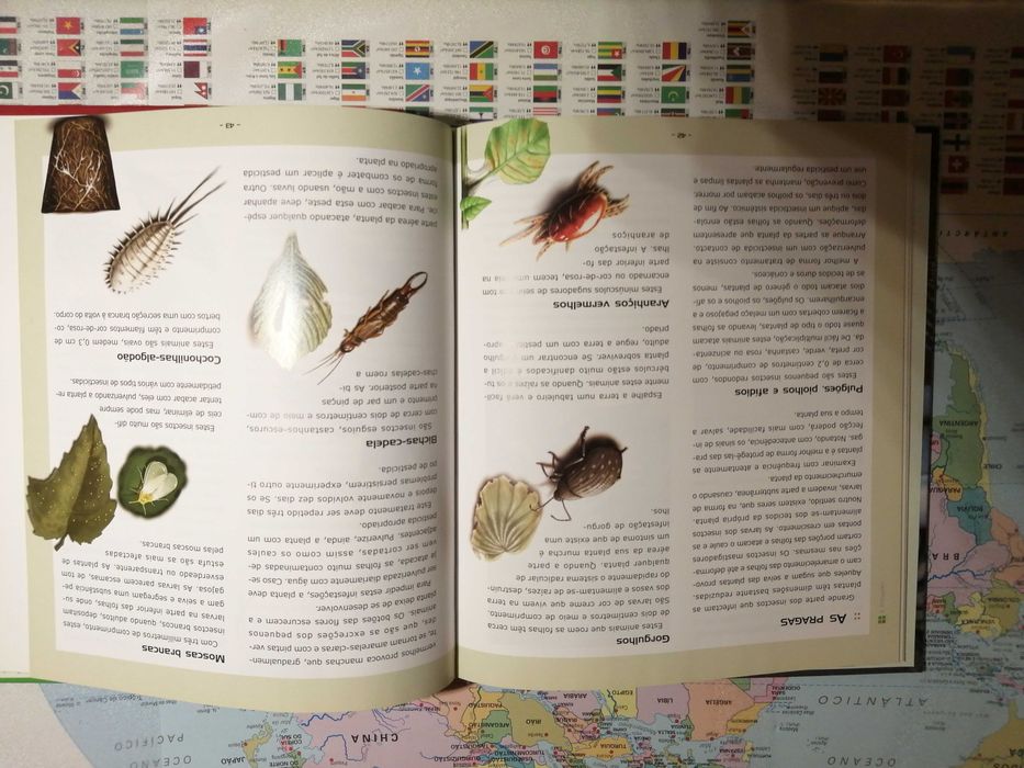 Livros de casa - Plantas e Decoração de interiores