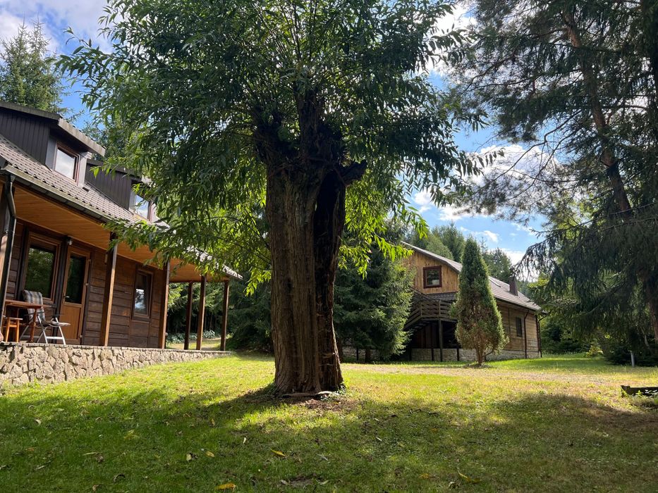 Działka inwestycyjna – restauracja+ domek na wynajem | Roztocze