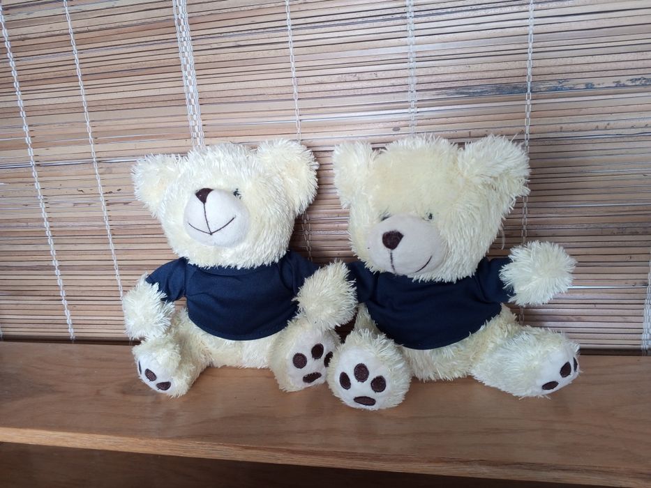 Bracia słodkie misie pluszowe