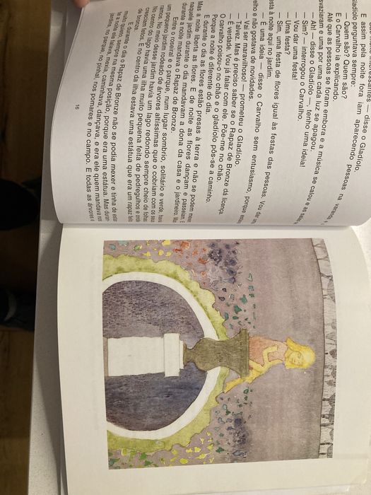 Livro “rapaz de bronze” de Sophia