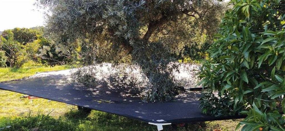 Pano Recolhedor Manual Azeitona/Frutos secos