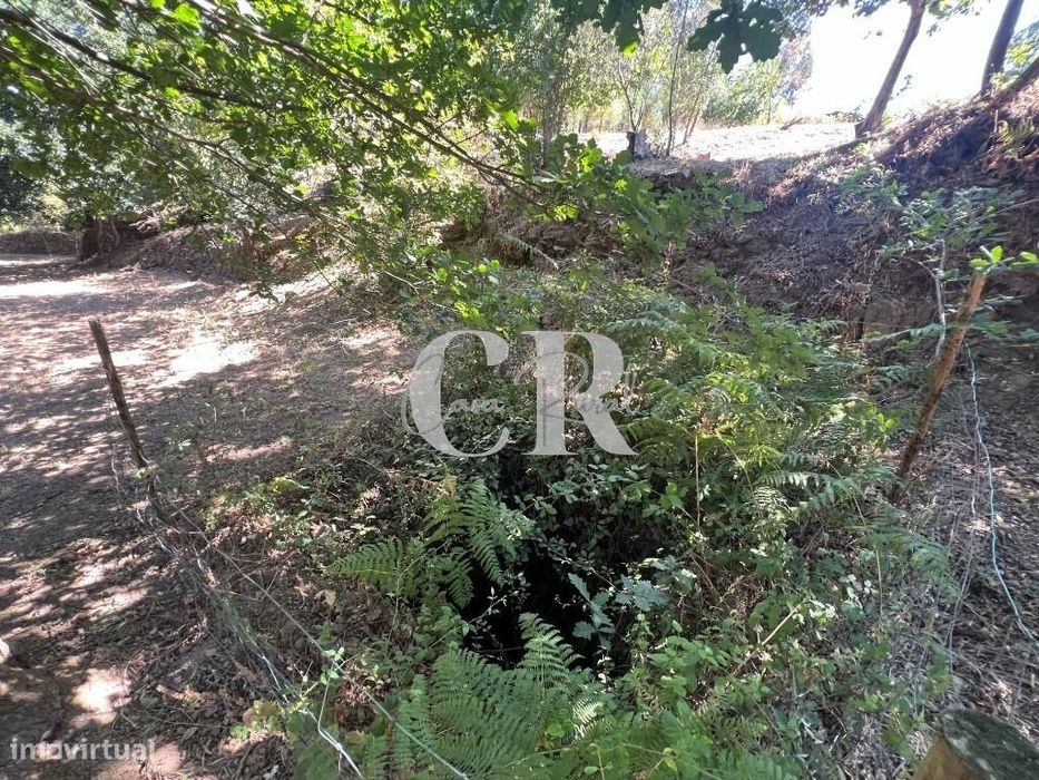 Casa de Pedra Renovada, Ruínas, Riacho, Poços e 15.570m2 de Terreno na