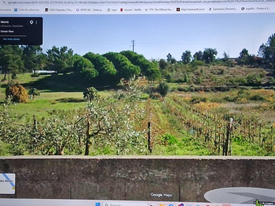 Venda ou Permuta: 2 Terrenos (Total 3920m²) em Fazendas de Almeirim
