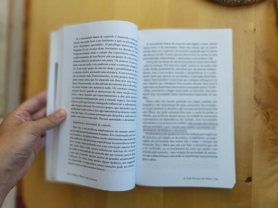 Livro A Vida Secreta Da Alma - Sabine Wery Von Limont