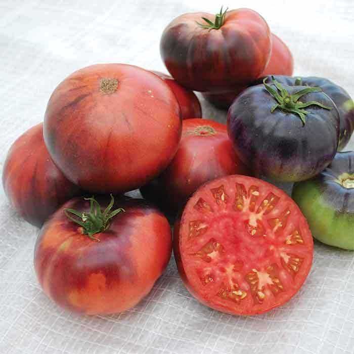 15 Sementes de Tomate Blue Beauty (raro)