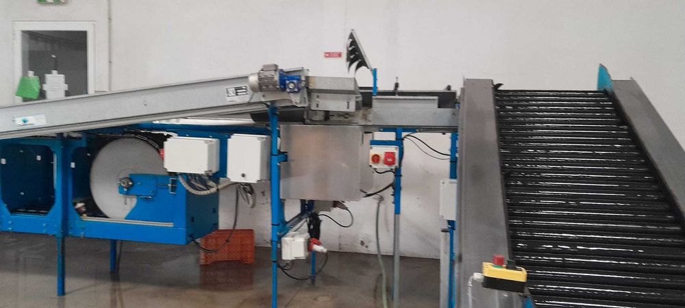 Calibradora de Fruta