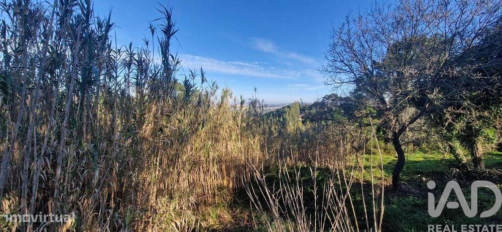Terreno Agrícola em Mafra