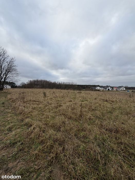 Działka 1226 m² w spokojnej części Siemianic - Widok 4