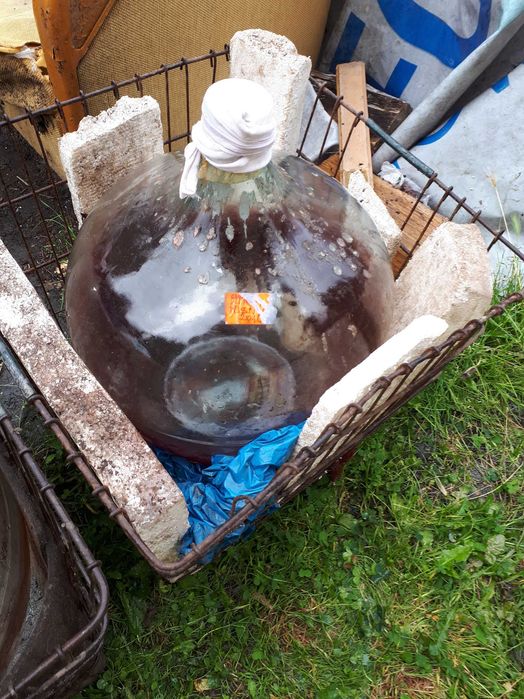 Balon gąsior do wina
