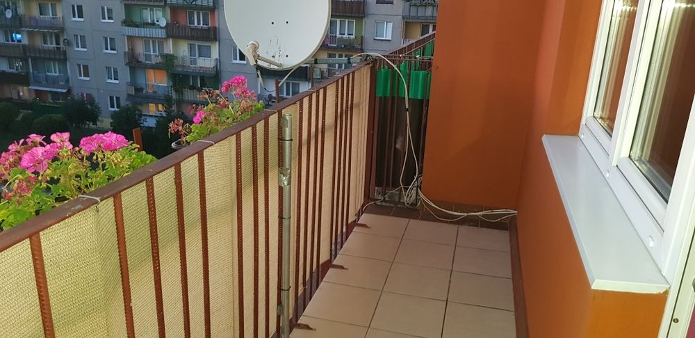 Mieszkanie 51 m² do wynajęcia – Pionki, ul. Boh. Studzianek