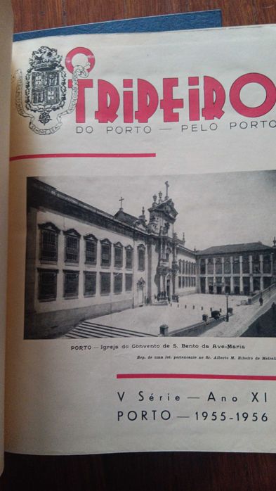 Tripeiro , óptimo estado, 4 unidades