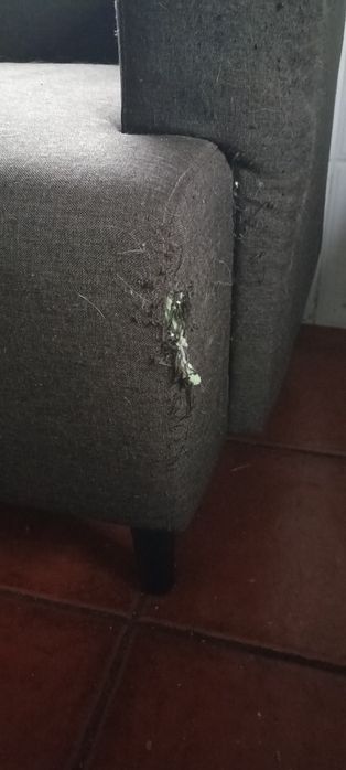 Sofá Kasa 2 lugares Talim