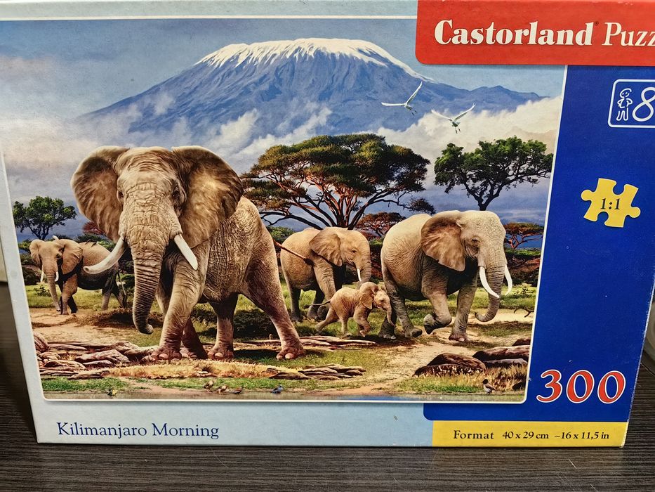 Puzzle, 300 elementów