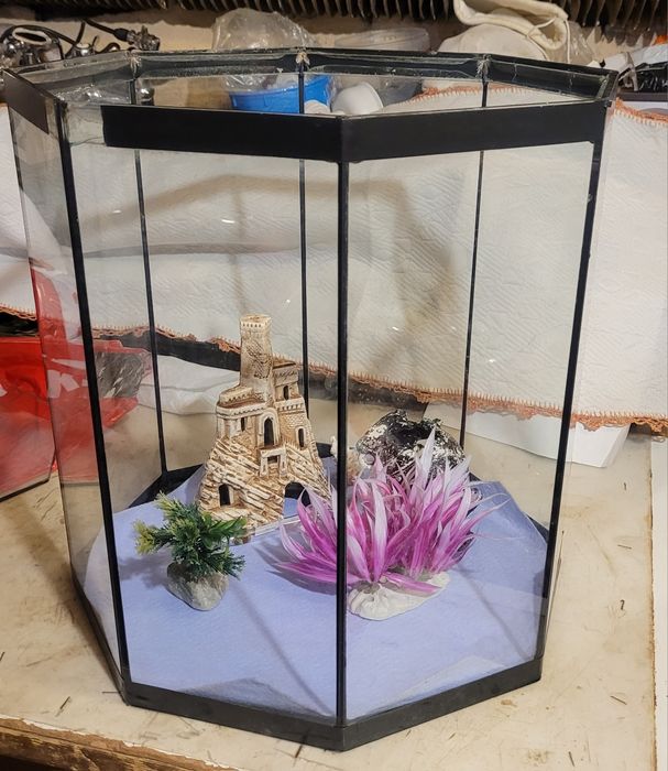 Terrarium akwarium o ośmiokątnym kształcie z wyposażeniem