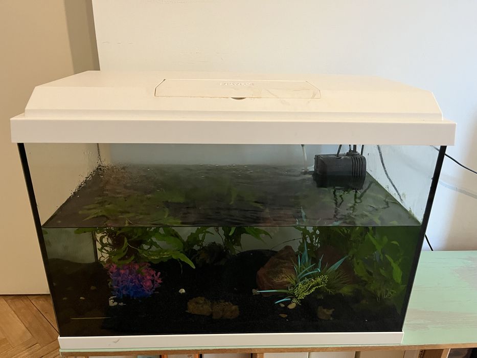 Aquário Juwel PrimoLux 60