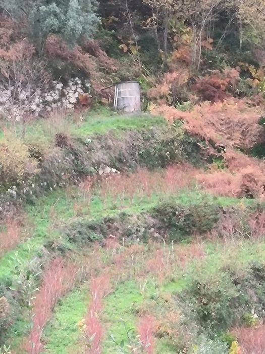 Quinta Rústica à Venda - 1 hectare de terreno. 

Descrição:  
Vende