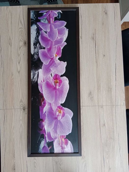 Obraz Storczyki 93cm x 33cm