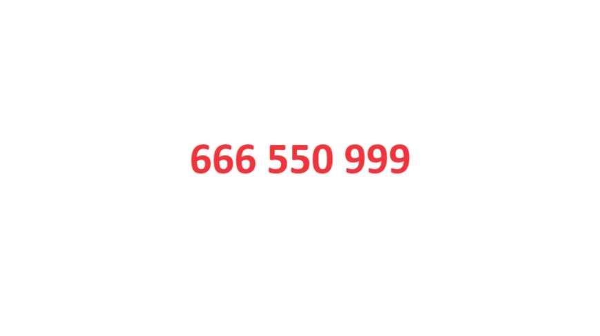 złoty platynowy numer 666.550.999