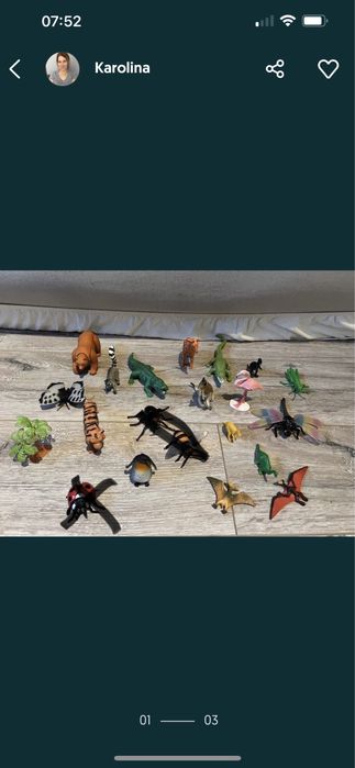 Małe zwierzątka dla dzieci pingwin flaming motyl