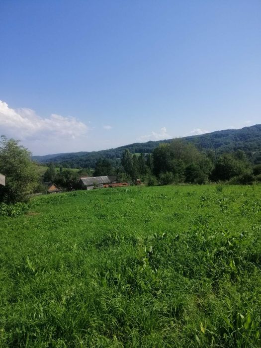 Земельна ділянка в Карпатах з будинком. Село Орів, Трускавецька ОТГ. Ціна 485$ за сотку.