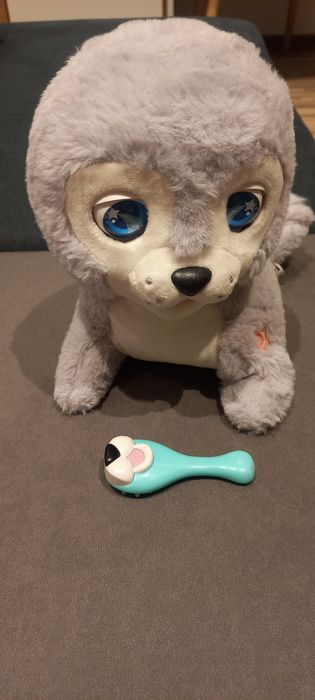 Foczka Hela interaktywna