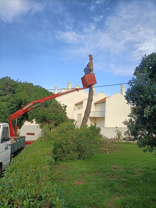 Limpeza de Terrenos e Jardinagem em Sintra e Arredores– Cortes, Abates e Entulhos