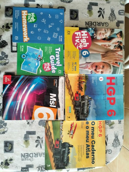 Cadernos de atividades e manuais (5º,6º e 7ºano)