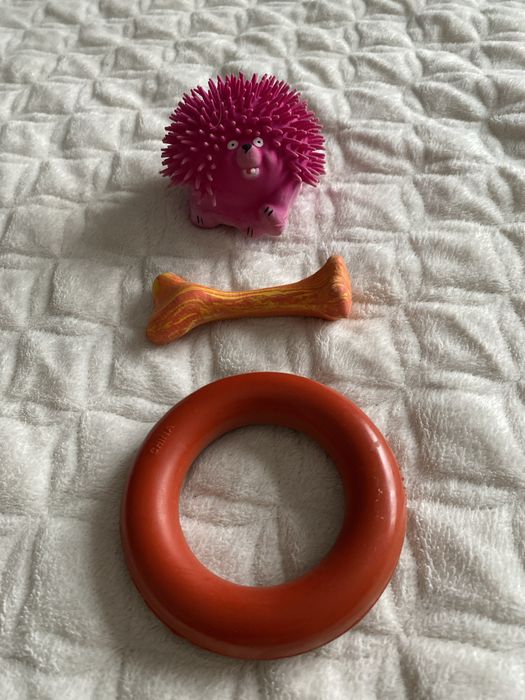 Gryzaki zabawki dla psa