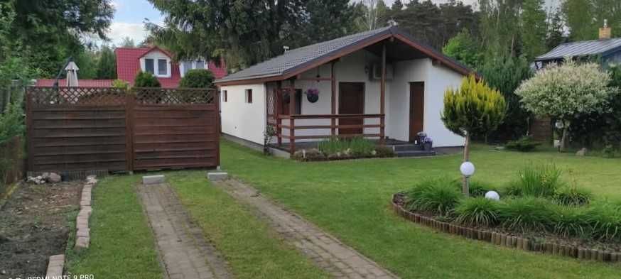 Działka ROD Bugaj (12km od Poznania). 400m2 + domek 35m2