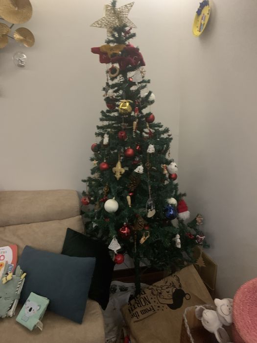 Pinheiro de Natal