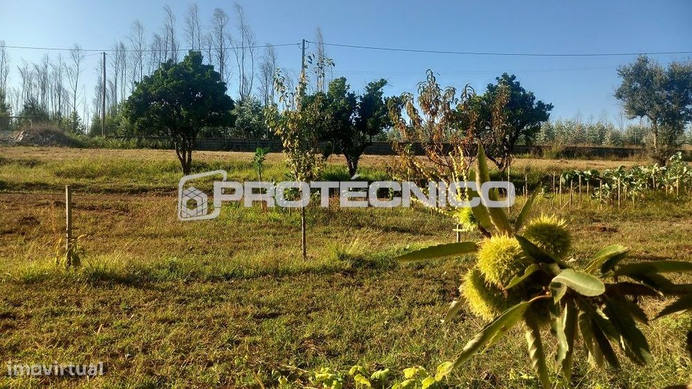 Terreno Urbano Assilhó - 1.268m2 — Albergaria-A-Velha E Valmaior, Aveiro