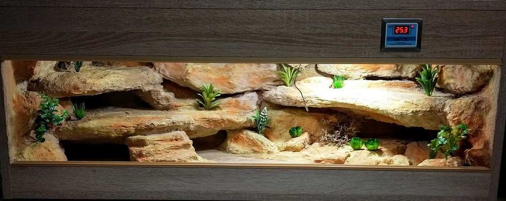 Terrarium na zamówienie dla agamy 100x40x40